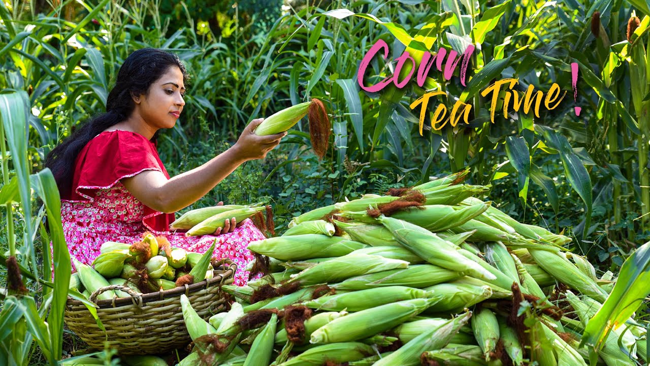 I made Sweet and Spicy tea time delicacies from my Brother's corn harvest | Traditional Me I made Sweet and Spicy tea time delicacies from my Brother's corn harvest | Traditional Me