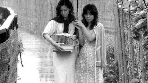 「女の子が女の子を好きになる」40年前の幻の作品／映画『風たちの午後』予告編