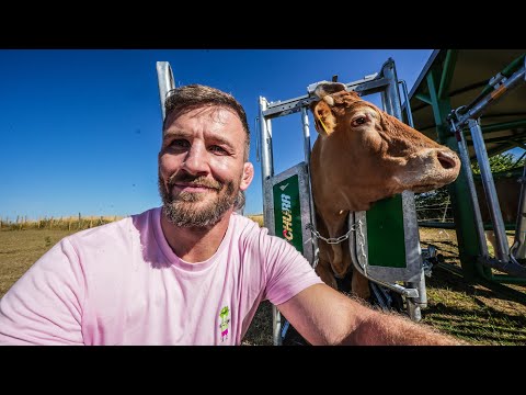 Neues von der Ranch & meine Überraschung für Euch klappt