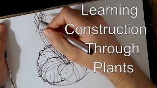 Drawabox Lesson 3: Applying Construction to Plants with Hibiscus Drawing Demo