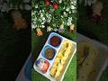 kids lunch box ideas # 😋😋Idli Style Dhokla # Tiffin box ideas # Shorts # youtube shorts