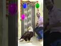 Colourful Balloon To Eagle, Mor, Hans, Tota, Funny Vfx Magic Video,#shorts #funny #trending
