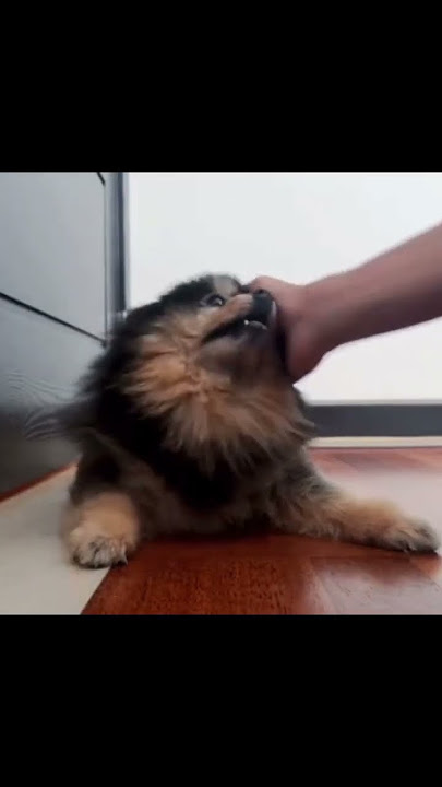 yeontan could've died😔🥺 #taehyung #bts #btsv #youtubeshorts #yeontan