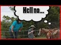 Funny animal fails: heavy set-people vs horses edition