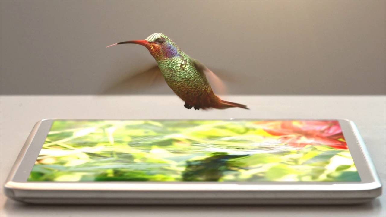 Release Your Creativity | Westfourstreet | Web Design Milton Keynes