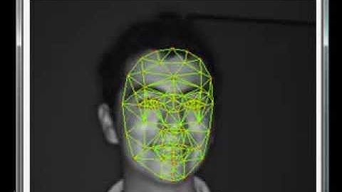 Active shape model fit