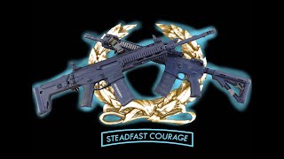 New Steadfast Courage Trailer!