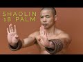 Shaolin 18 Palm