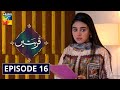 Qurbatain Episode 16 HUM TV Drama 31 August 2020
