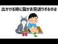 猫の雑学 #雑学 #豆知識 #ねこ