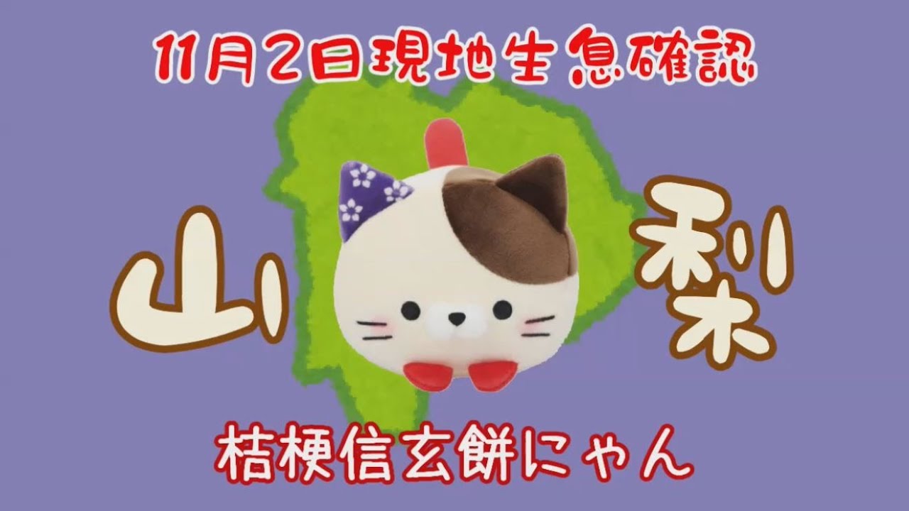 桔梗信玄餅にゃん 生息確認　ご当地ころころにゃんこ完全制覇の旅