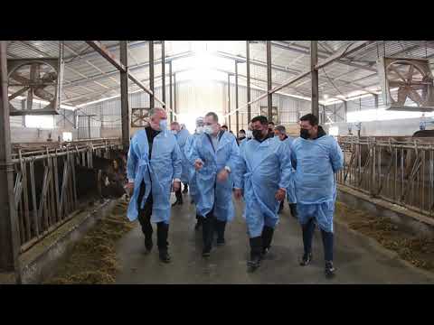 მარნეულში მესაქონლეობის ფერმა ამოქმედდა