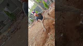 Katya Side Ho Ja  Httpsmfacebookcomstoryphpstory fbid463447718769542u0026id100053129537958
