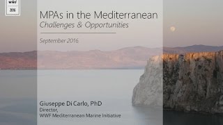 Challenges and opportunities of marine protected areas in the Mediterranean