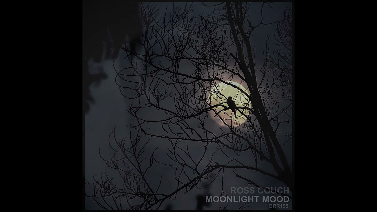Watch Ross Couch - Moonlight Mood (Edit) on YouTube Watch Ross Couch - Moonlight Mood (Edit) on YouTube