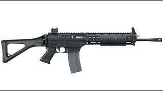 The Sig 556
