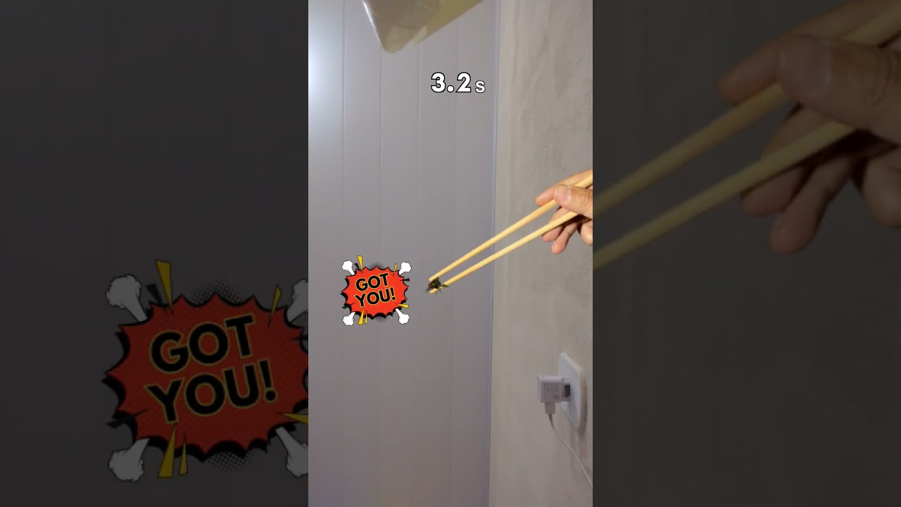 9 de setembro de 2025