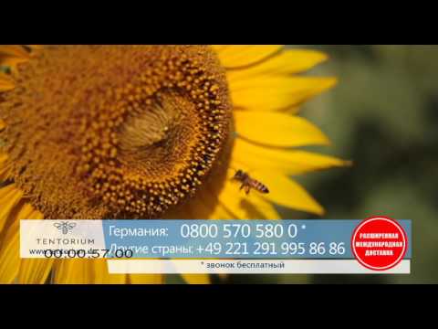 Tentorium Distributor Synapsy Life Solutions - YouTube