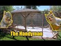 Squirrel/Rabbit Proof Garden Enclosure | THE HANDYMAN |