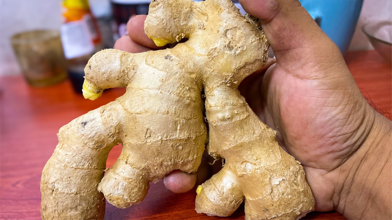 The Health Benefits of Ginger Juice: Why You Should Drink It Daily