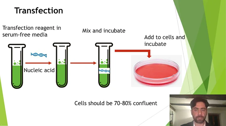 Optimising Cell Line Development for Bioprocessing