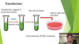 Optimising Cell Line Development for Bioprocessing