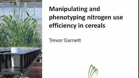 Trevor Garnett QAAFI seminar Manipulating and phenotyping nitrogen use efficiency in cereals