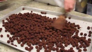 Recipe for Caramelized Dark Chocolate Hazelnuts