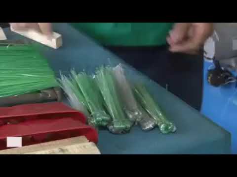 Video: Plastic Broom: Features Of The Polypropylene Synthetic Outdoor Model. Characteristics Of Flat Plastic Brooms With Cuttings. Description Of The Fan Model