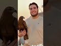 الكعب العالي اكسبلور 10   جديد صاصا نمبر ون نمبر وان الاهلي الأهلي فوق الجميع