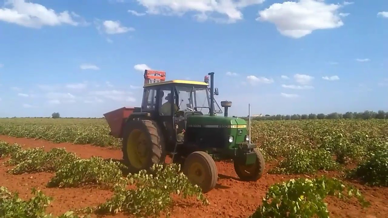 Vendimia 2017!! Villarrubia de los ojos John Deere 2850, massey ferguson 3235