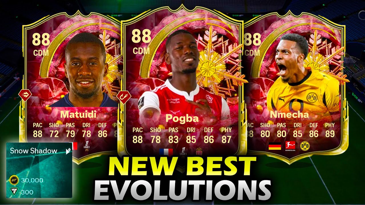 Для эволюции Snow Shadow обязательно нужно использовать игроков!