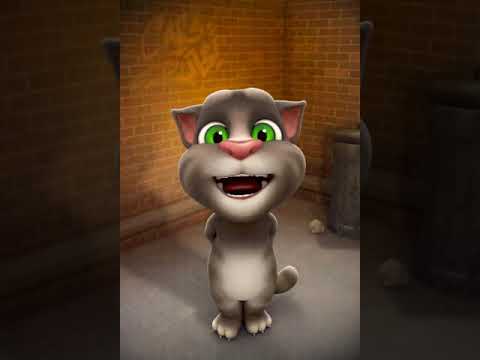 شمس المجرة بصوت توم