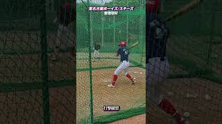 【愛知の強豪】東名古屋ボーイズの1日密着#shorts#密着取材#強豪ボーイズ