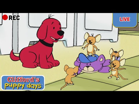 🔴 LIVE | Clifford's Puppy Days 🐕 Season 2 FULL EPISODES | Scholastic