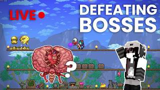 Please I Need To Play Terraria Livestream