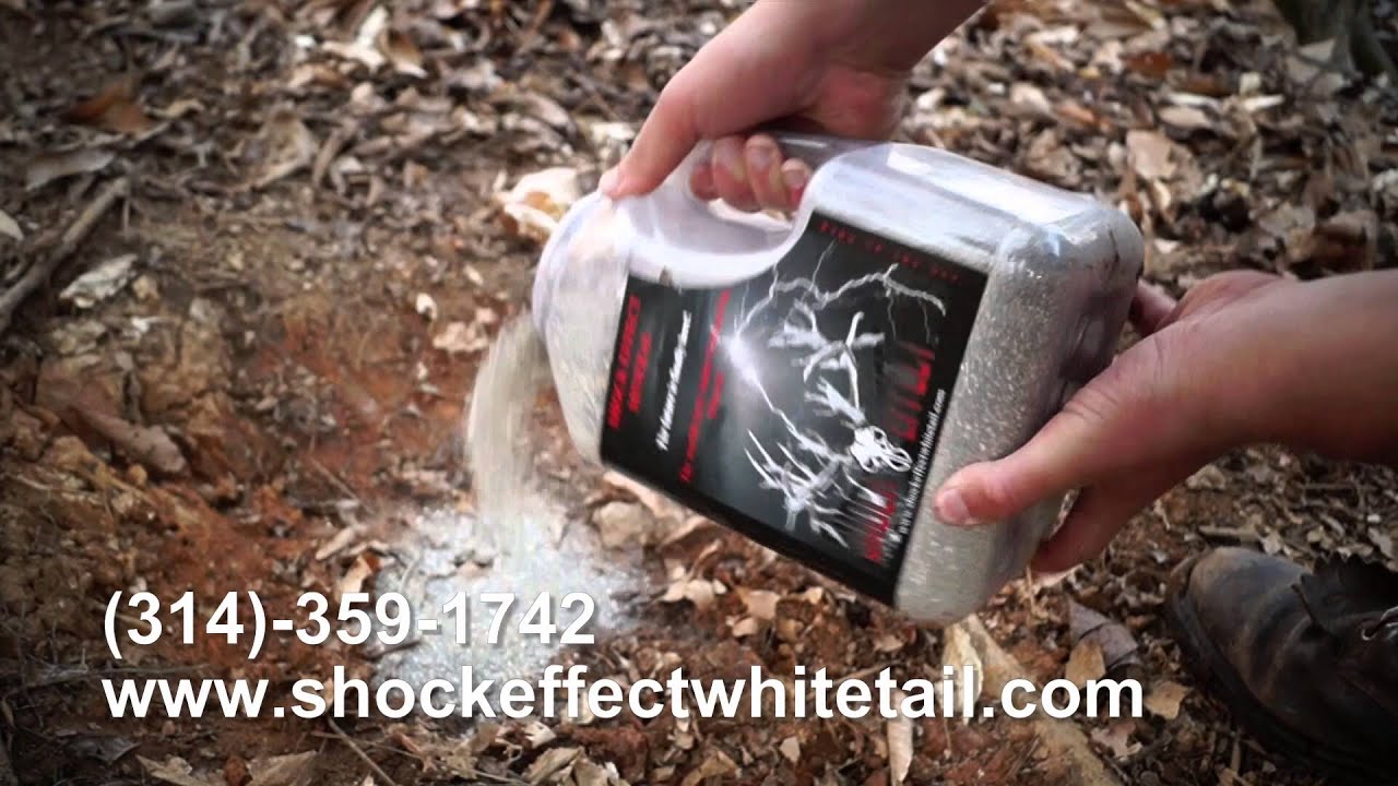 Shock Effect Deer Mineral YouTube