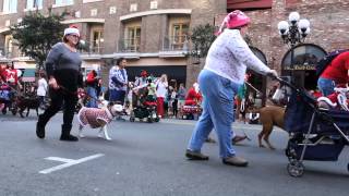 Pet Parade 2014