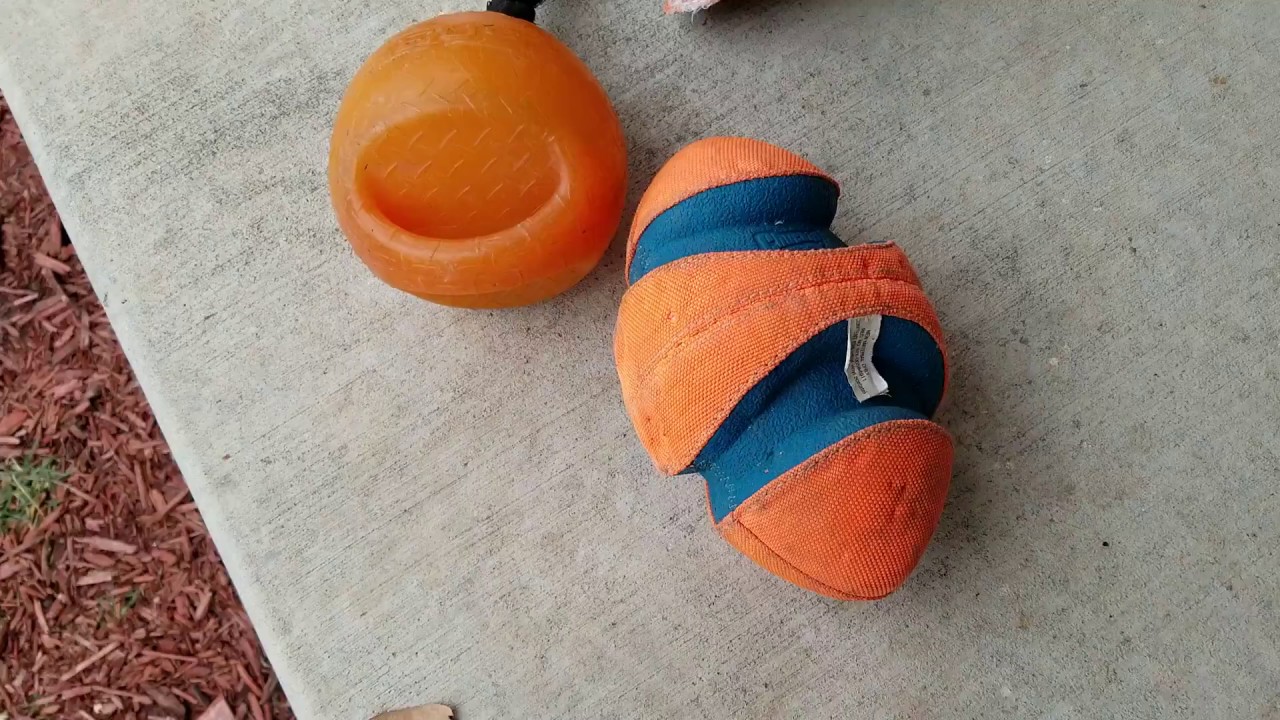 Best Dog Fetch toys Chuckit & HomeMade Toys Indestructible Dog Toys HOW TO PLAY FETCH WITH DOG