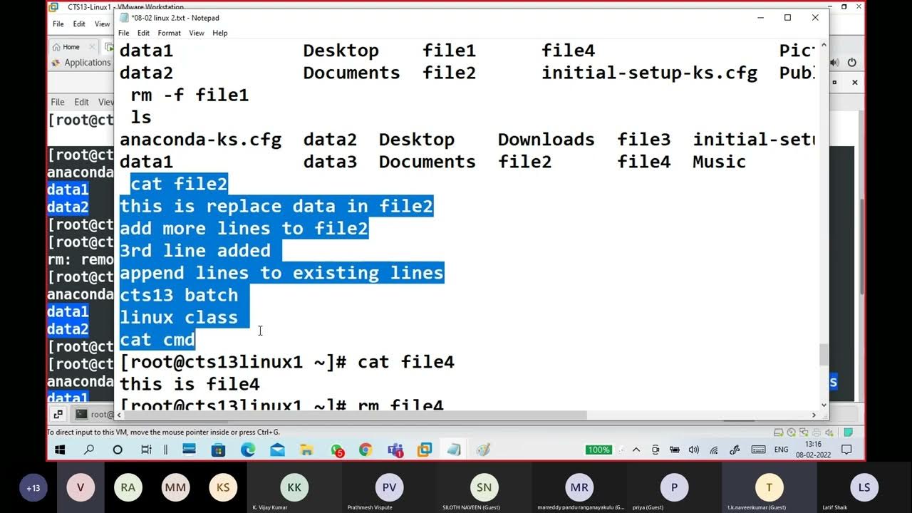 Rm f linux. Chmod 755 linux. linux работа. chmod linux команда. chmod 777 linux команда.