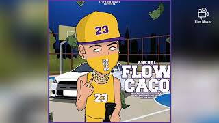 Flow Caco- 𝟠𝔻 𝕄𝕦𝕤𝕚𝕔 ℝℙ