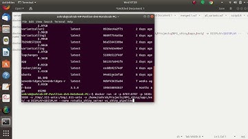 Variant calling pipeline in Shiny R using docker image
