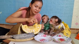Mimi Kuku sat politely waiting for Mom to split Jackfruit