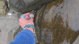 Rainy Day Shelling on Plum Island