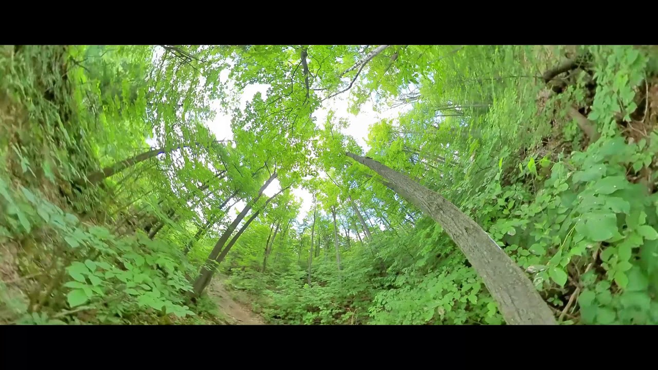 Eden of Quietude(Cinematic 4k Video)