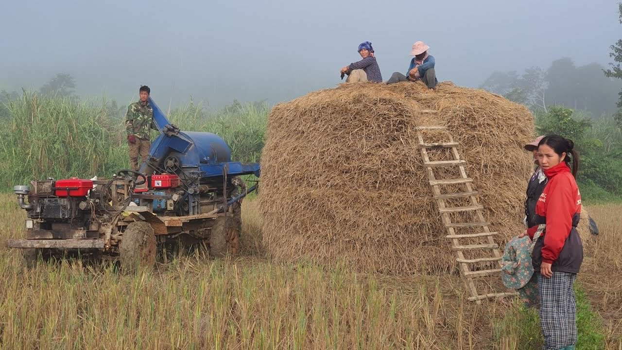 Sib pauv zog ntaus tus hlob lawv cov nplej