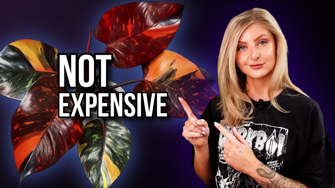 Plants That Look Expensive (But Aren’t)