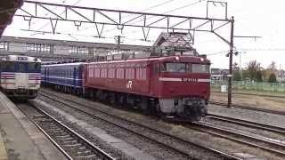 EF81 134+12系高崎車5B+C57 180 SL青い12系客車 送り込み回送(回8421レ)@2015.11.14