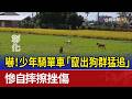 嚇！少年騎單車「竄出狗群猛追」 慘自摔擦挫傷