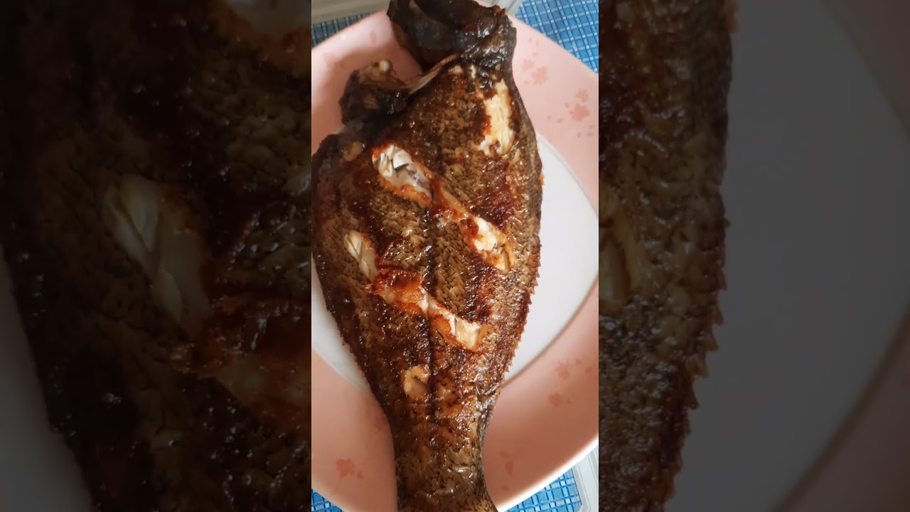 friedh fish # tapal puki